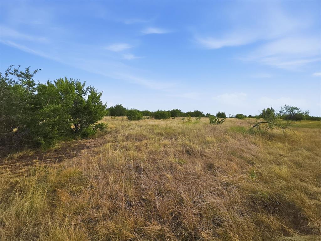 Lot 1 County Road 607 Property Photo 2