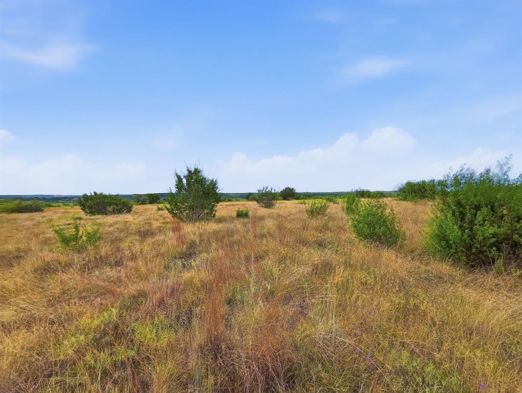 Lot 1 County Road 607 Property Photo 3