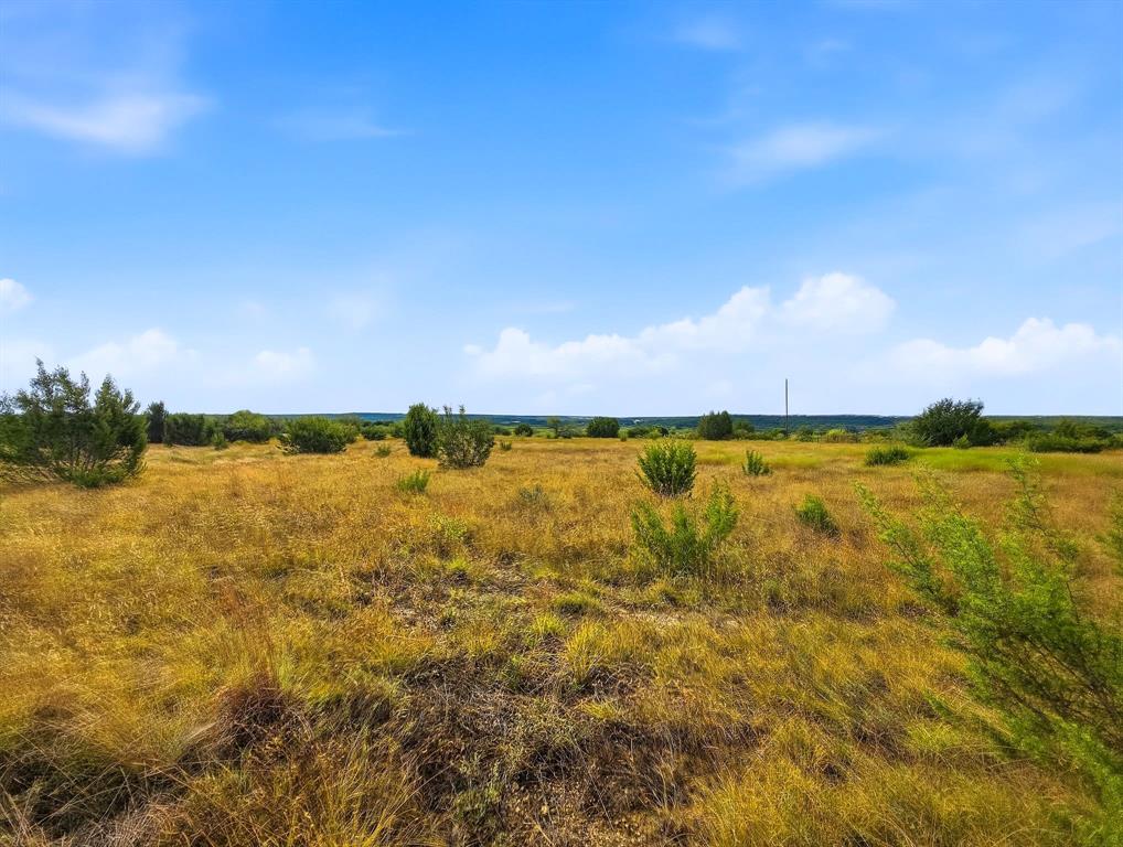 Lot 1 County Road 607 Property Photo 4