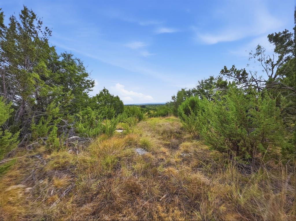 Lot 1 County Road 607 Property Photo 5