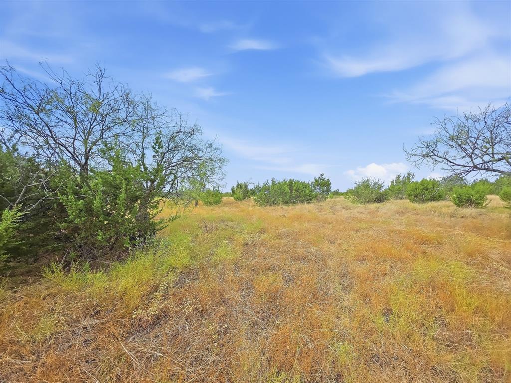 Lot 1 County Road 607 Property Photo 7