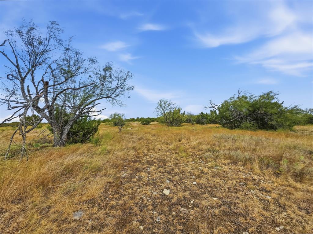 Lot 1 County Road 607 Property Photo 8
