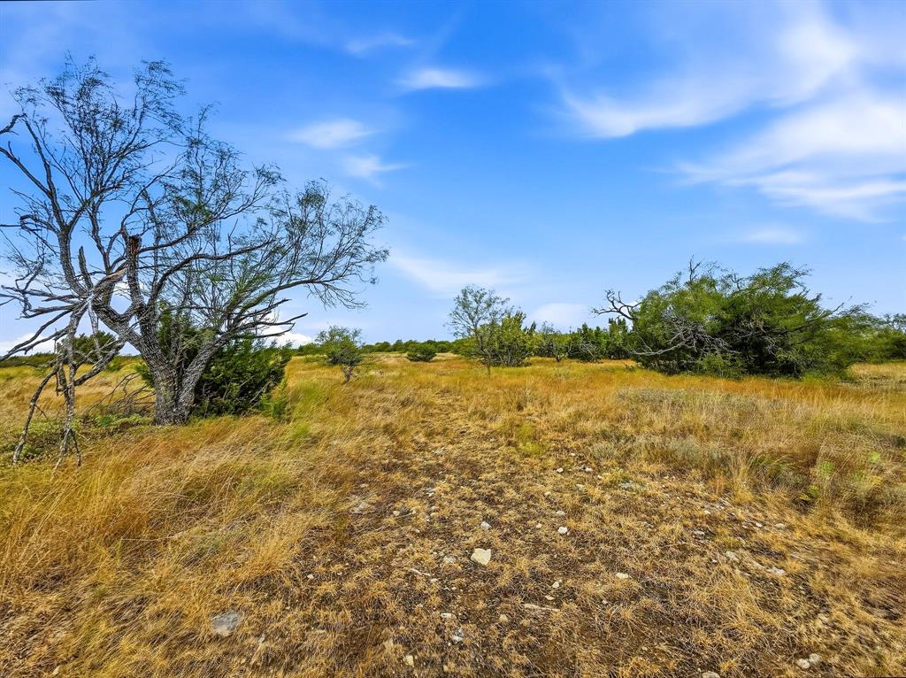 Lot 1 County Road 607 Property Photo 9