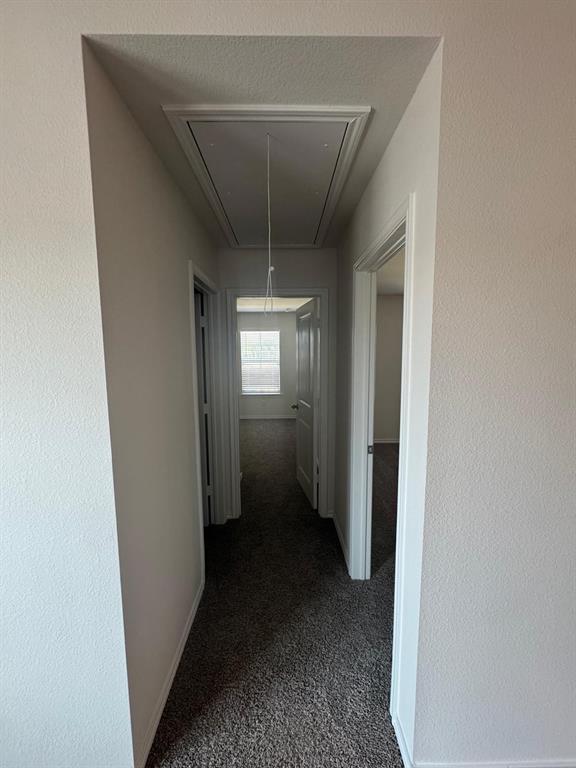 109 Labein Avenue Property Photo 18