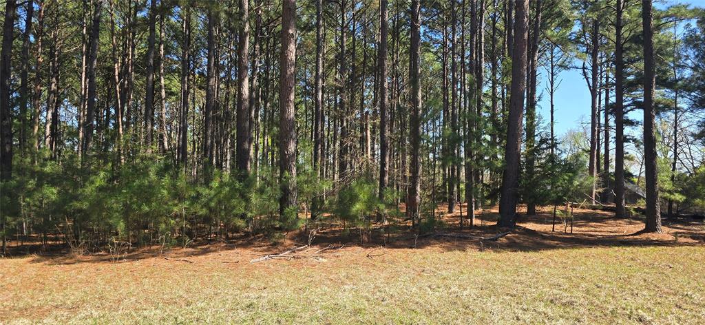 8300 Trophy Point Property Photo 3