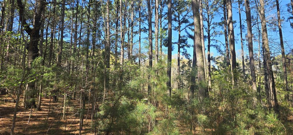 8300 Trophy Point Property Photo 10