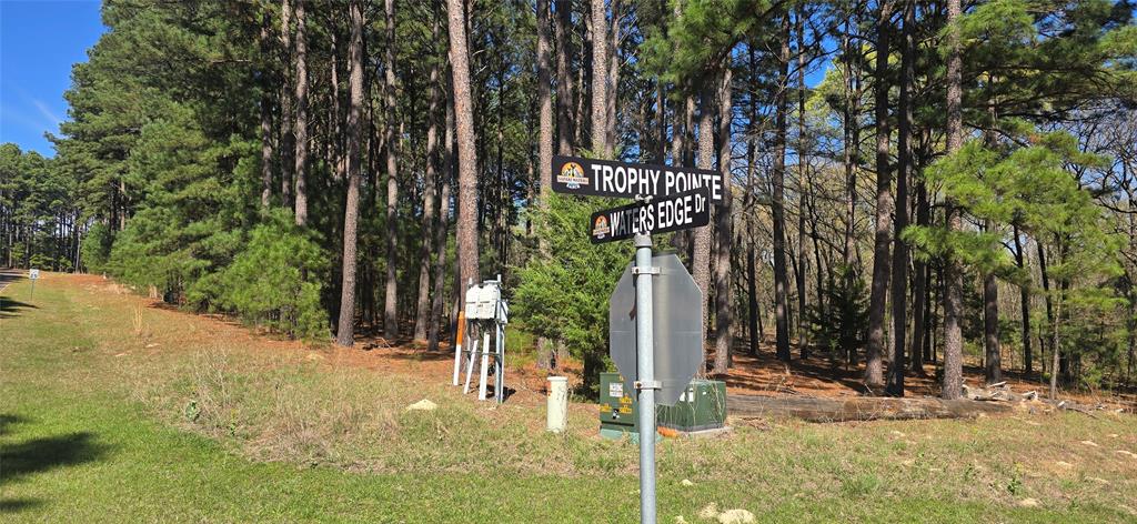 8300 Trophy Point Property Photo 12