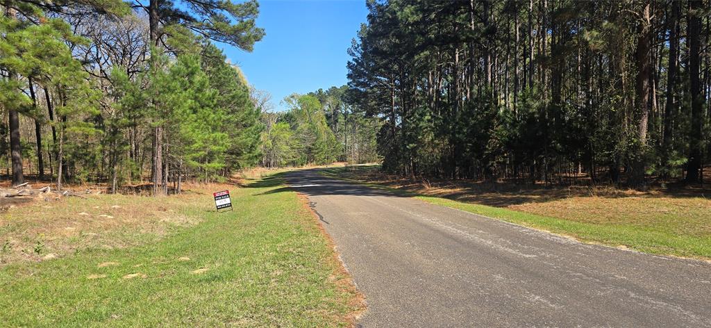 8300 Trophy Point Property Photo 13