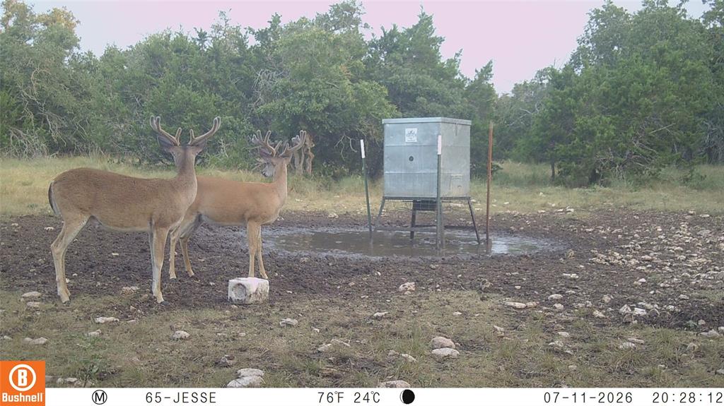 65 Miles Lane Property Photo 6