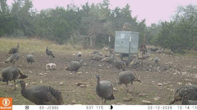 65 Miles Lane Property Photo 7