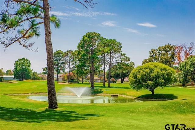 81 Ryder Cup Trail Property Photo 29