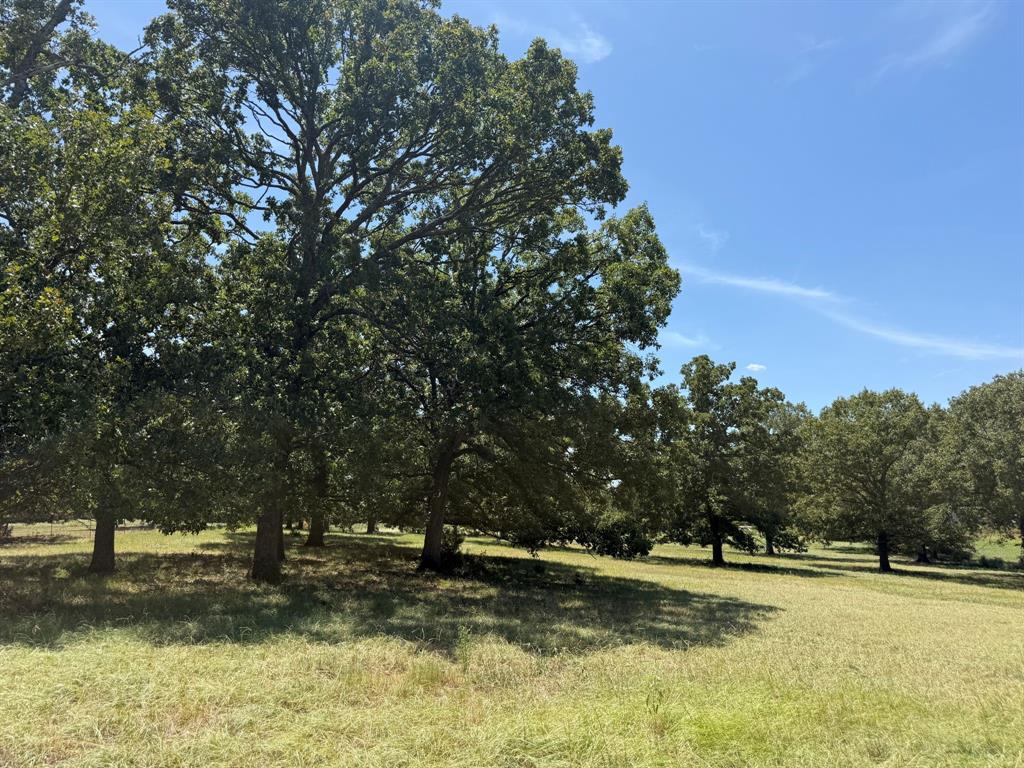 Tbd Us Highway 69 Property Photo 8