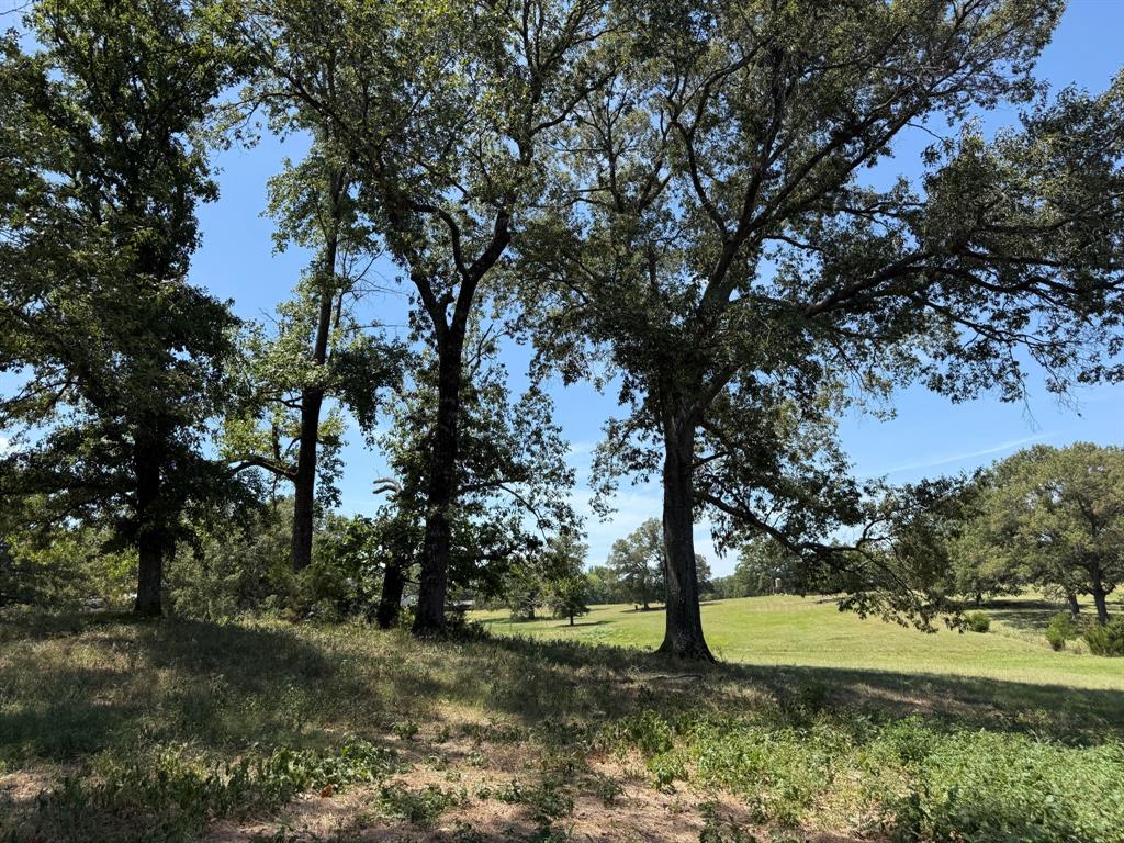 Tbd Us Highway 69 Property Photo 9