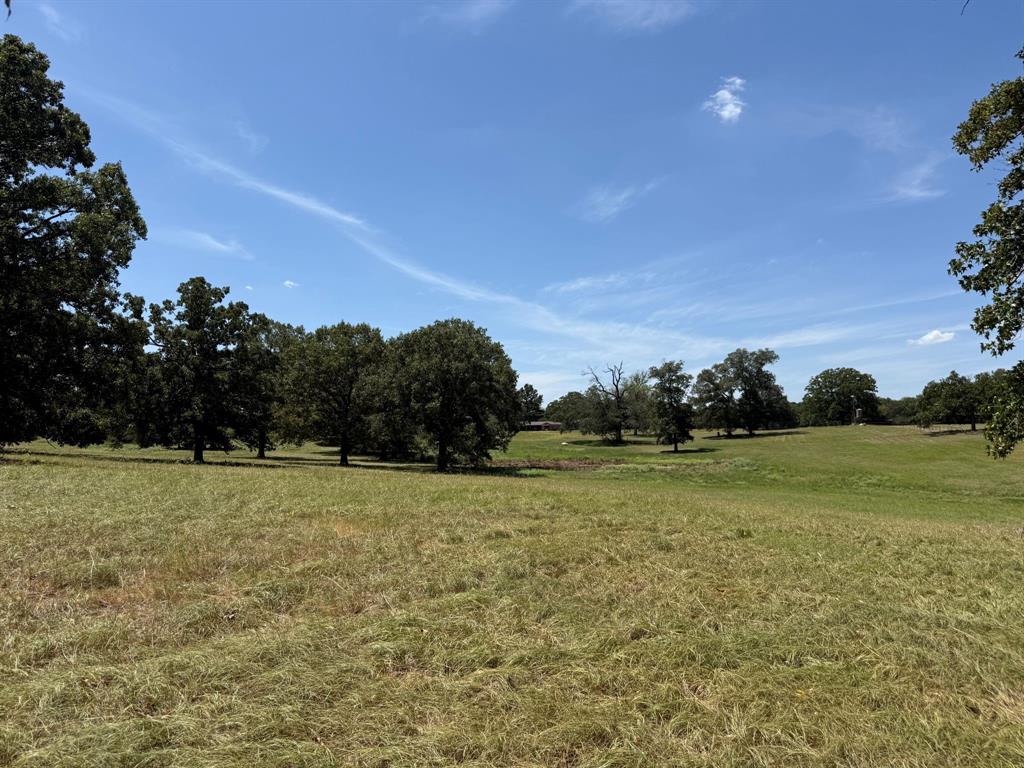Tbd Us Highway 69 Property Photo 10
