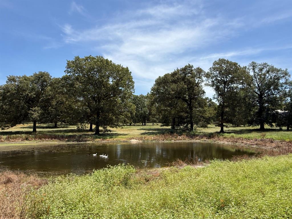 Tbd Us Highway 69 Property Photo 19
