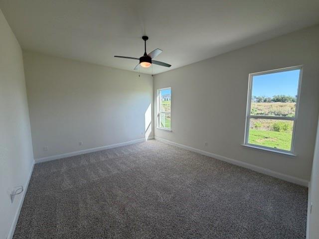 1043 Deer Island Court Property Photo 12