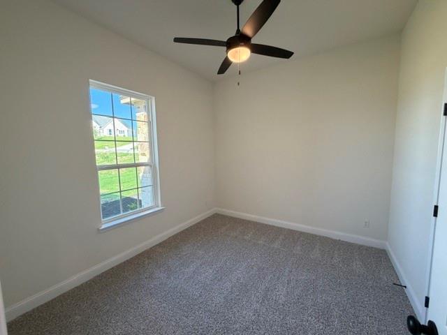 1043 Deer Island Court Property Photo 20