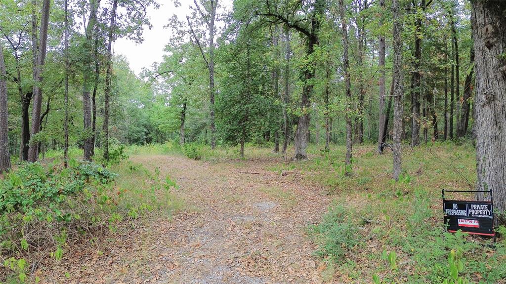1688 County Road 1597 Property Photo 3