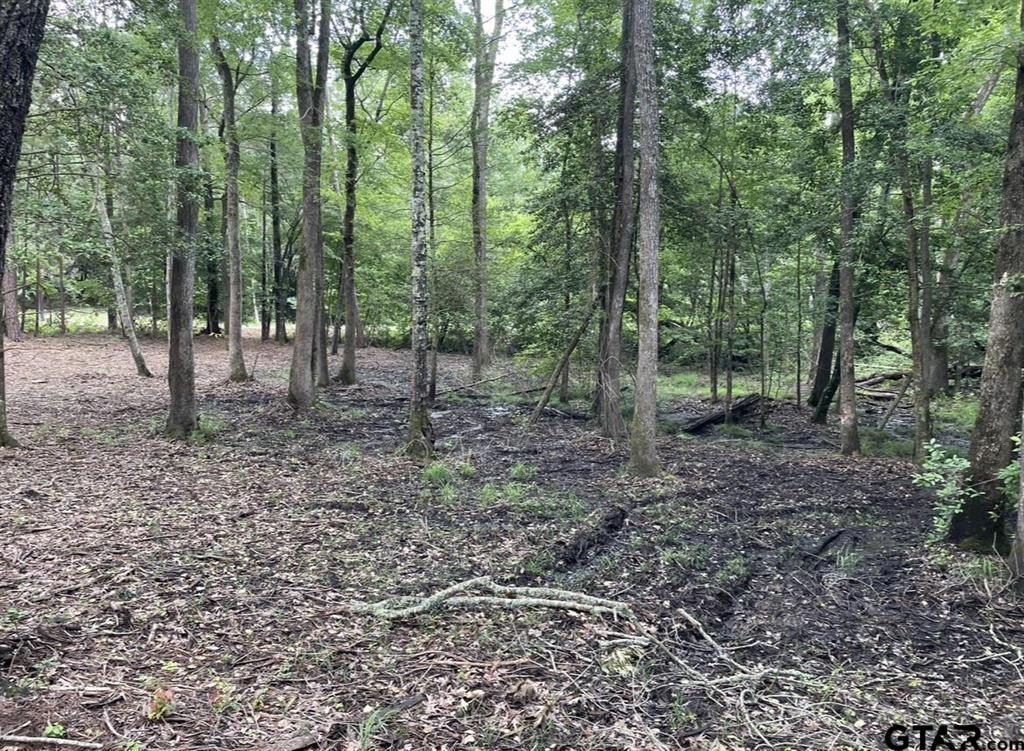 1688 County Road 1597 Property Photo 4
