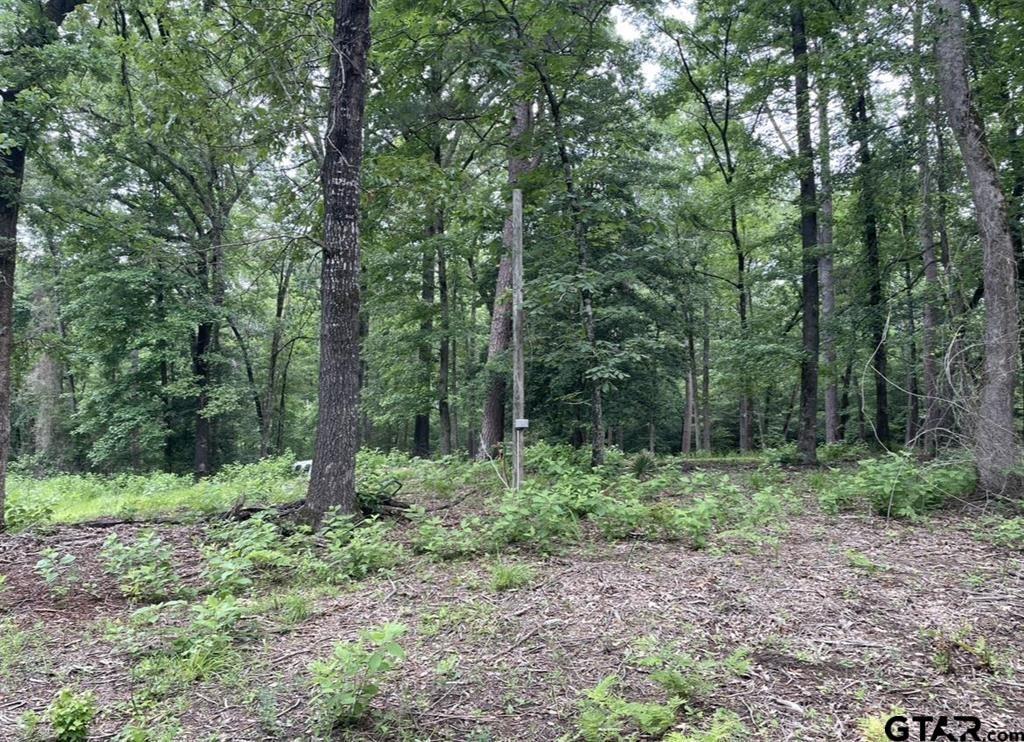 1688 County Road 1597 Property Photo 5