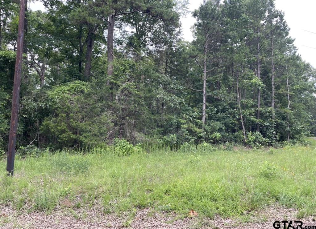 1688 County Road 1597 Property Photo 6