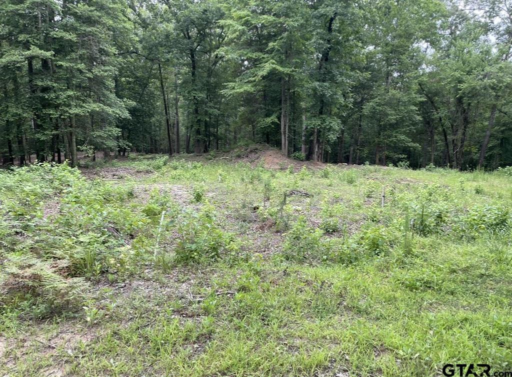 1688 County Road 1597 Property Photo 10