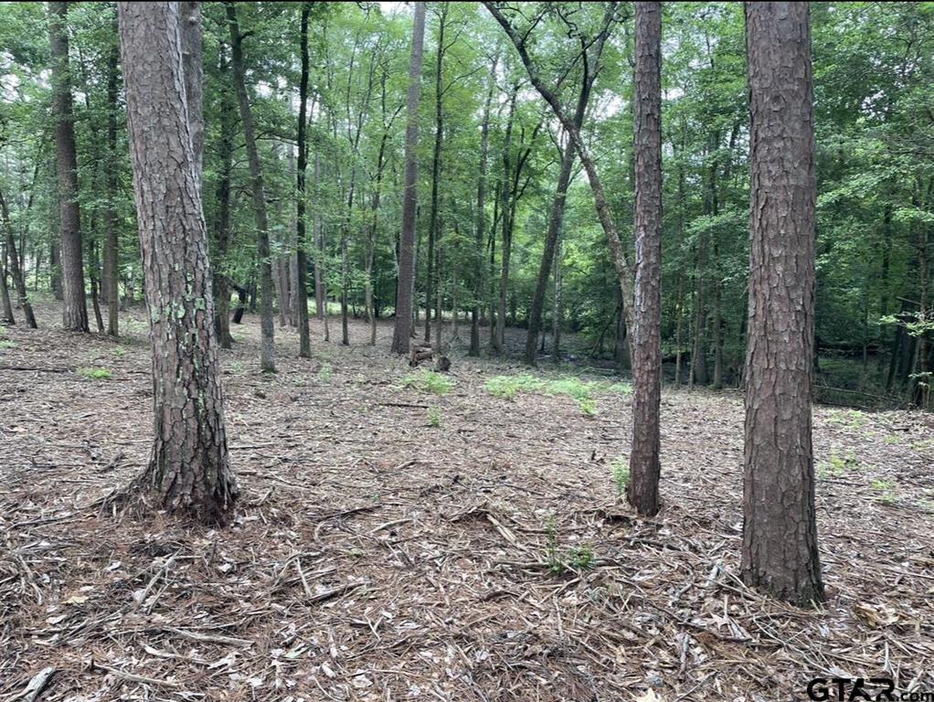 1688 County Road 1597 Property Photo 11