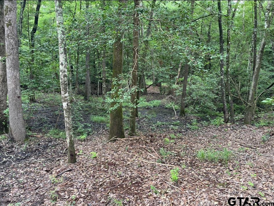 1688 County Road 1597 Property Photo 14