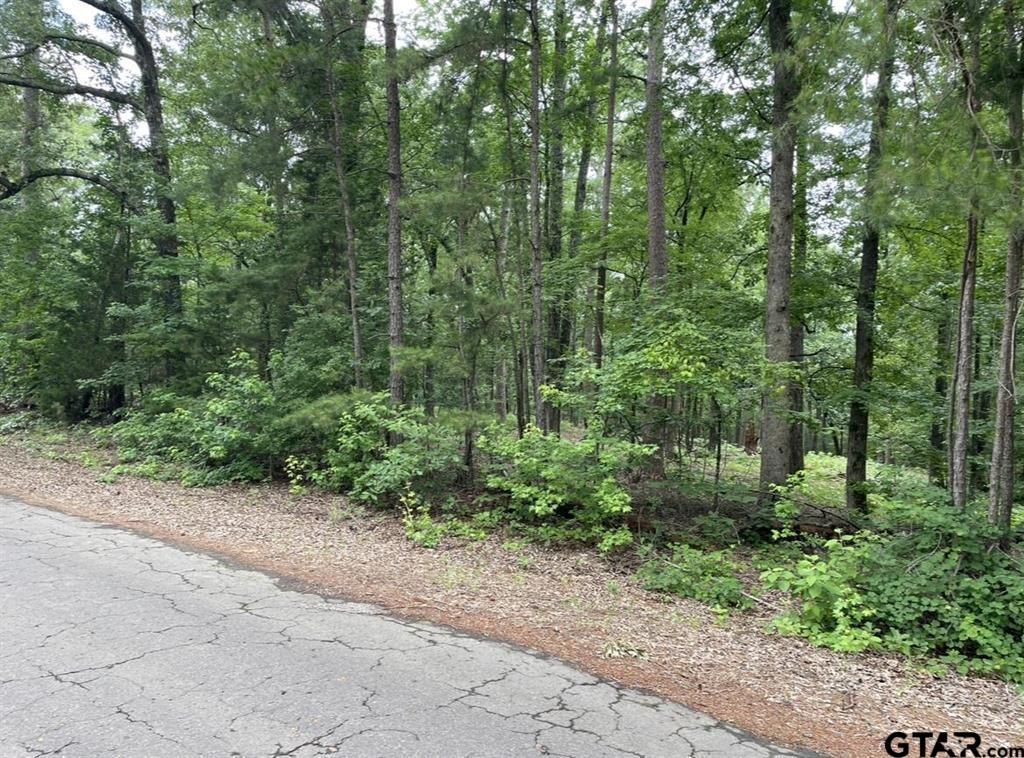1688 County Road 1597 Property Photo 15