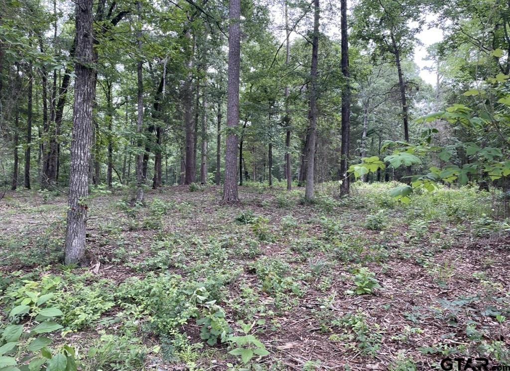 1688 County Road 1597 Property Photo 17
