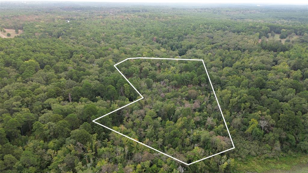 1688 County Road 1597 Property Photo 23