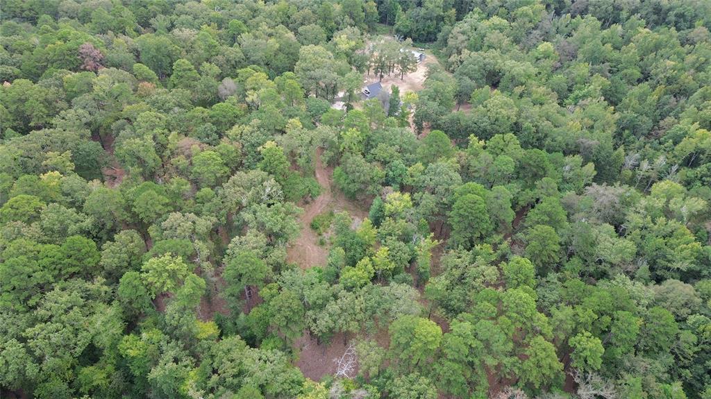 1688 County Road 1597 Property Photo 25