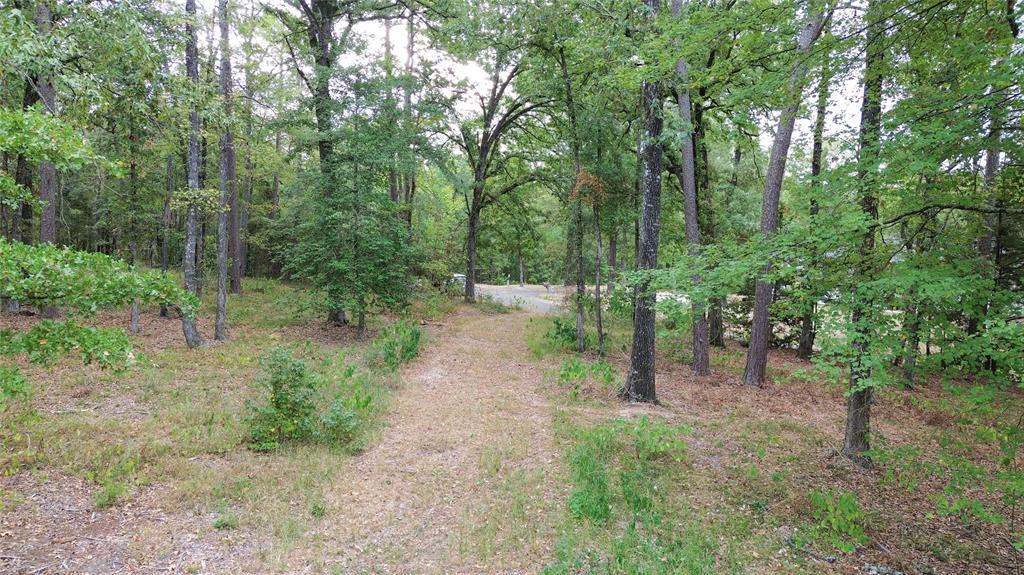 1688 County Road 1597 Property Photo 27