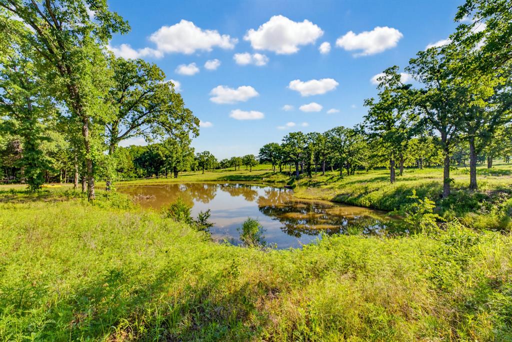 Tbd County Road 1270 Property Photo 6