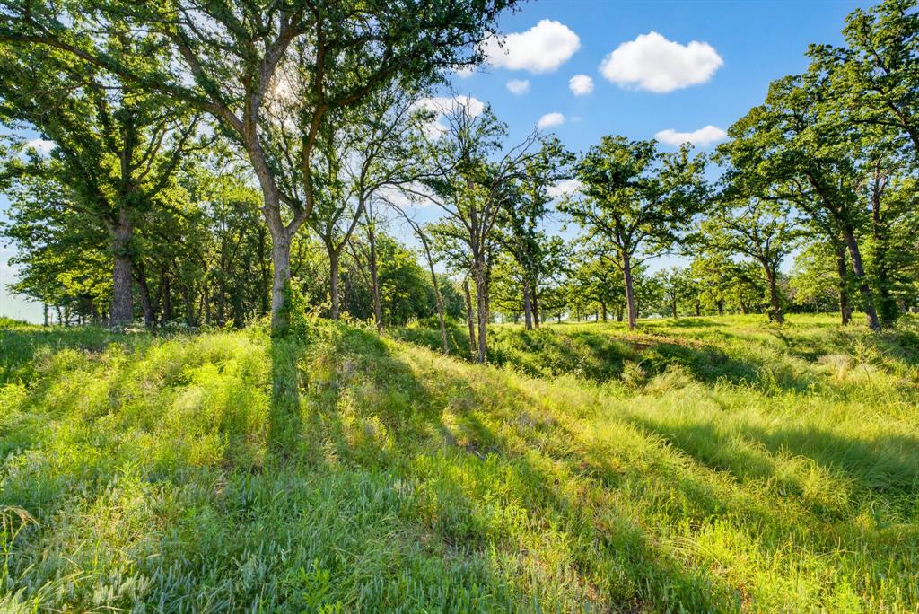 Tbd County Road 1270 Property Photo 8