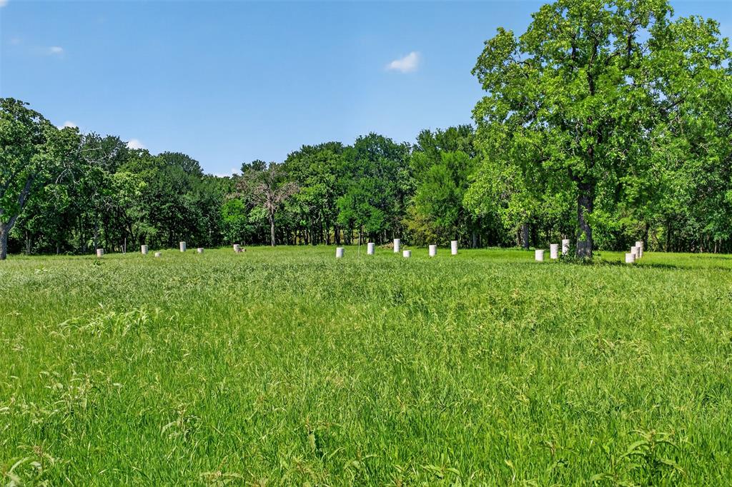 Tbd County Road 1270 Property Photo 39