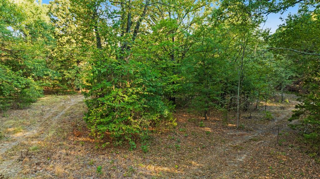 Tract B Cr 44400 Property Photo 8