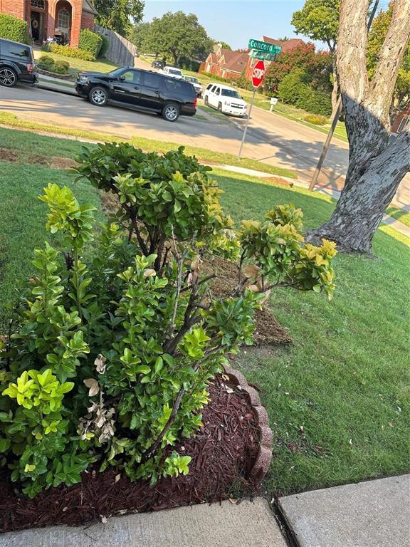 9701 Preston Vineyard Drive Property Photo 31