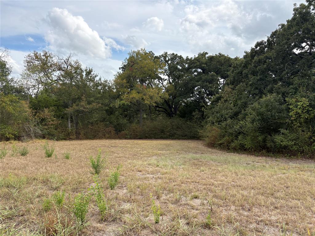 .62 Ac Sycamore Street Property Photo 1