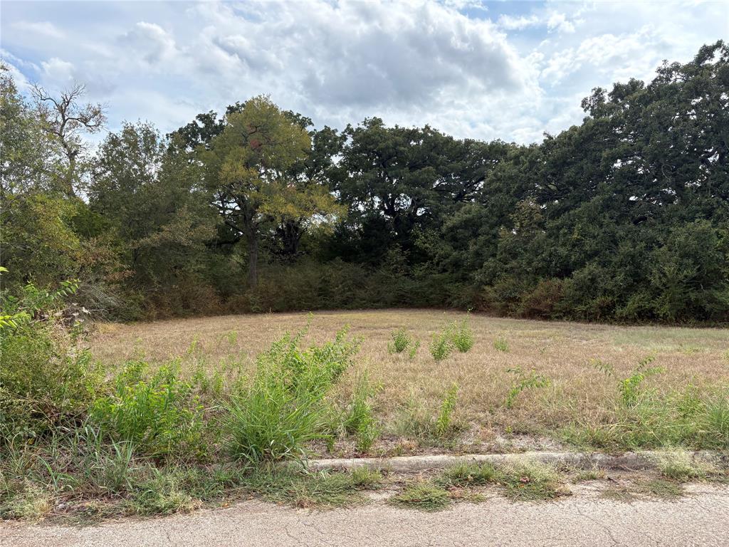 .62 Ac Sycamore Street Property Photo 2