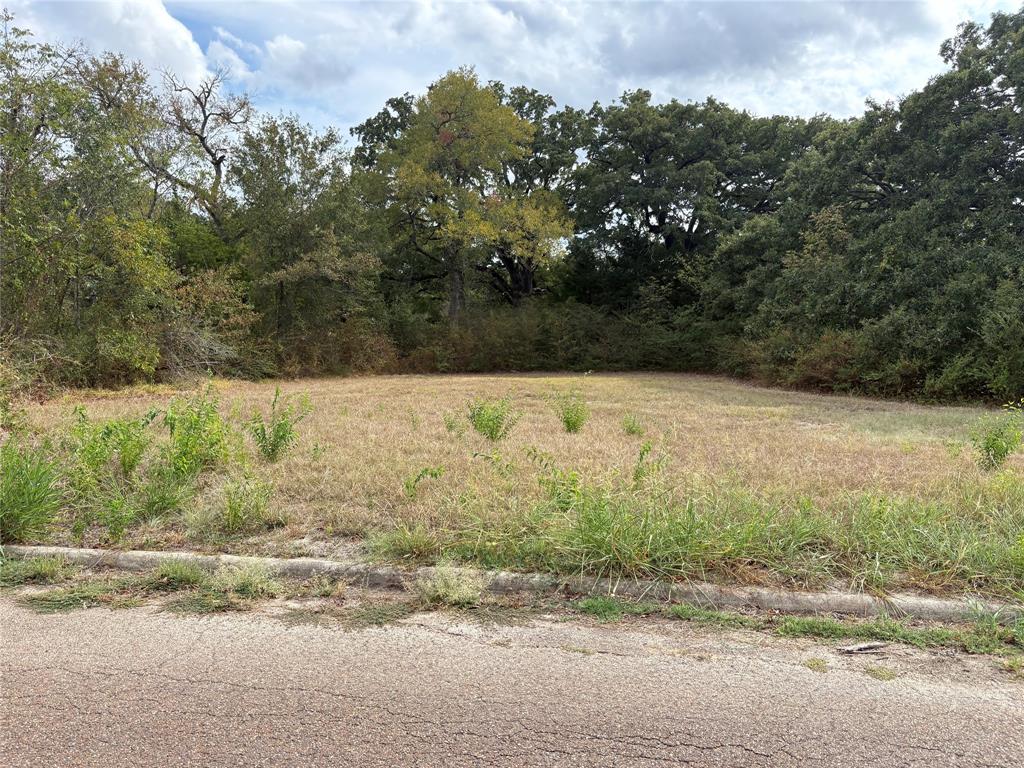 .62 Ac Sycamore Street Property Photo 3