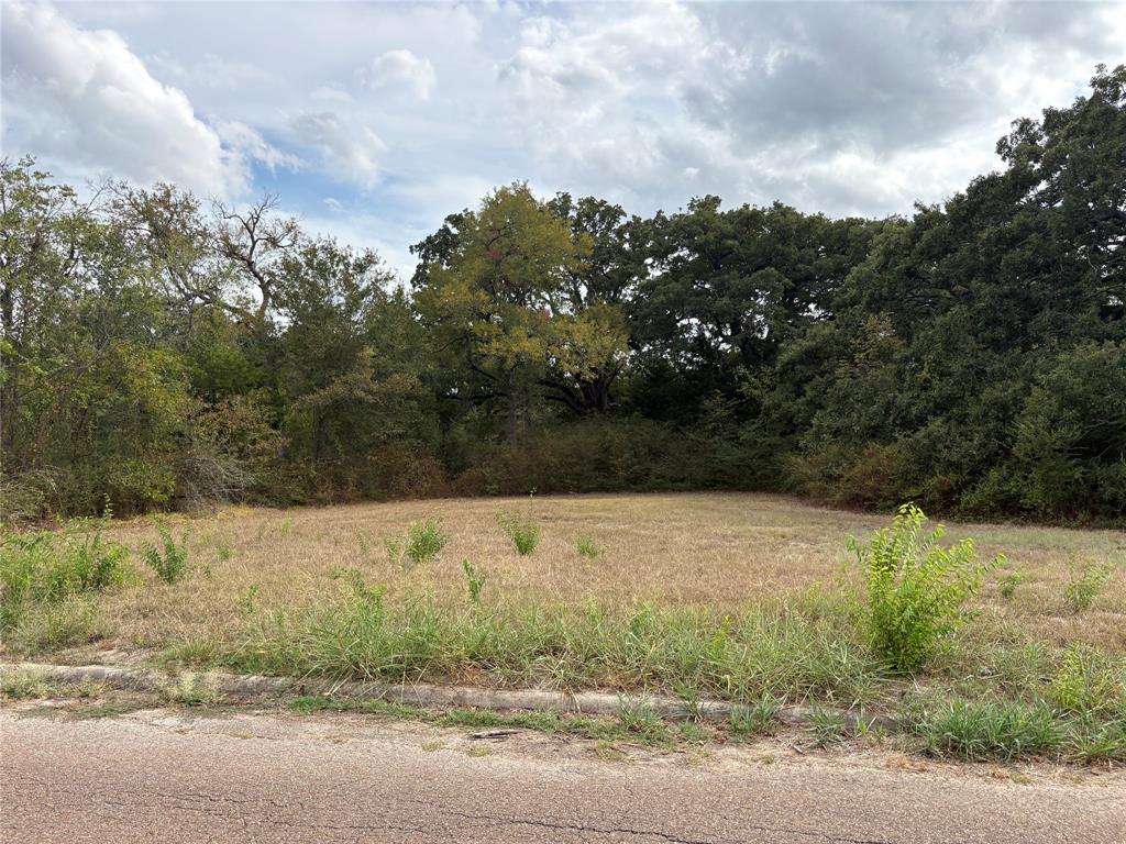 .62 Ac Sycamore Street Property Photo 5