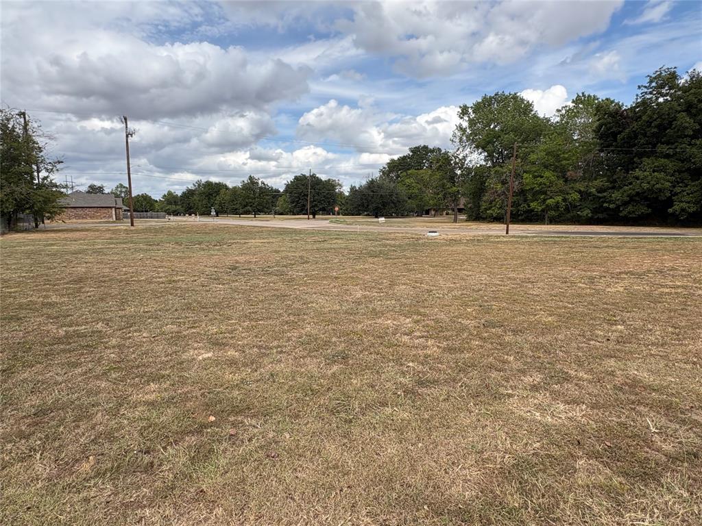 .30 Lot Washington Street Property Photo 2