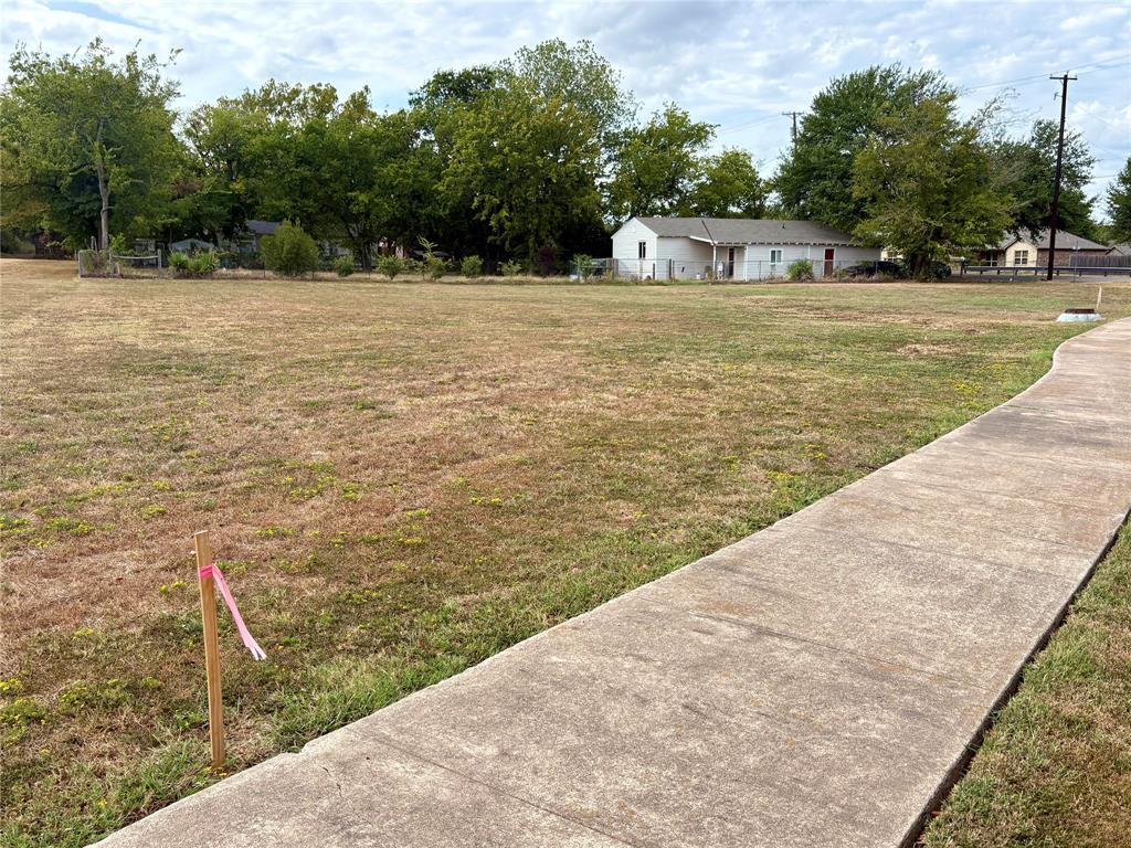 .30 Lot Washington Street Property Photo 3