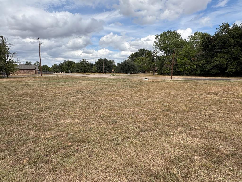 .30 Lot Washington Street Property Photo 6