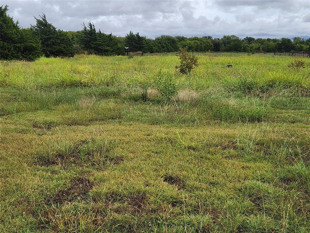 1513 S Fm 1138 Property Photo 1