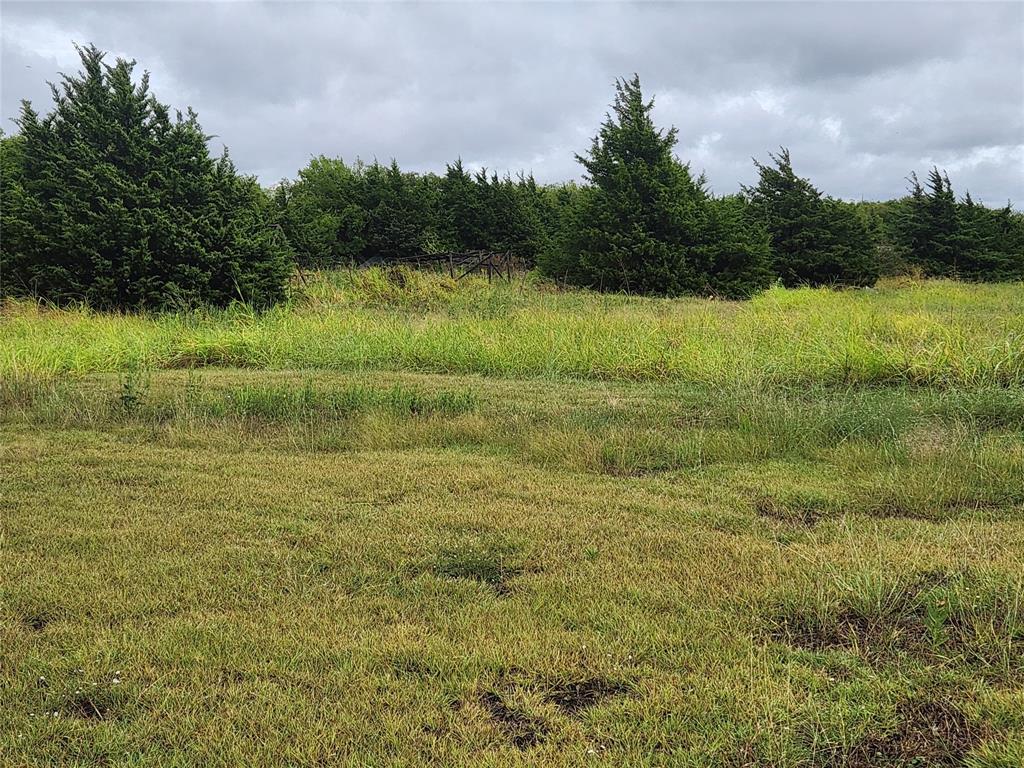 1513 S Fm 1138 Property Photo 6