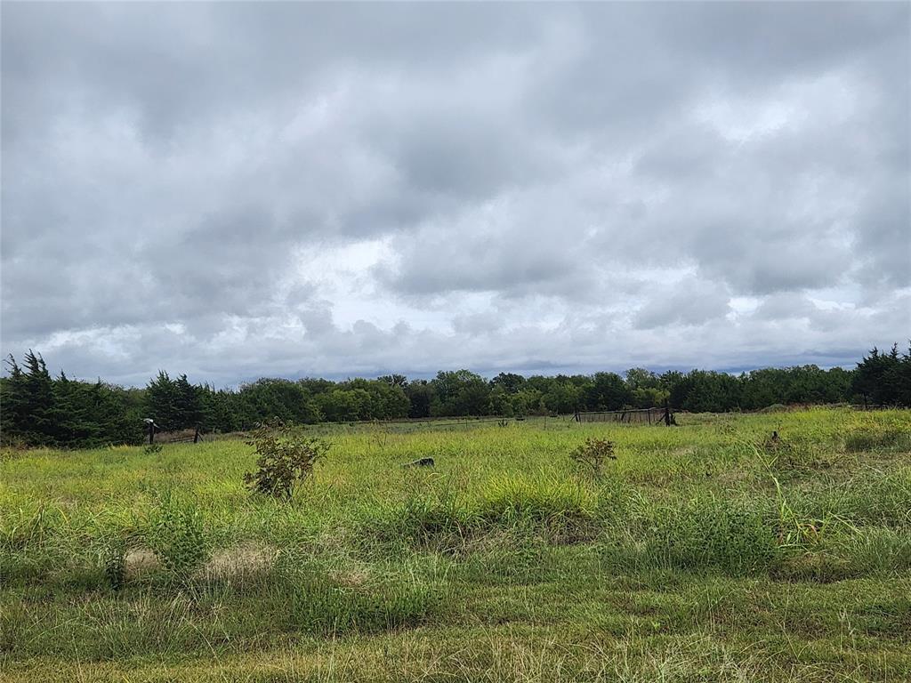 1513 S Fm 1138 Property Photo 9