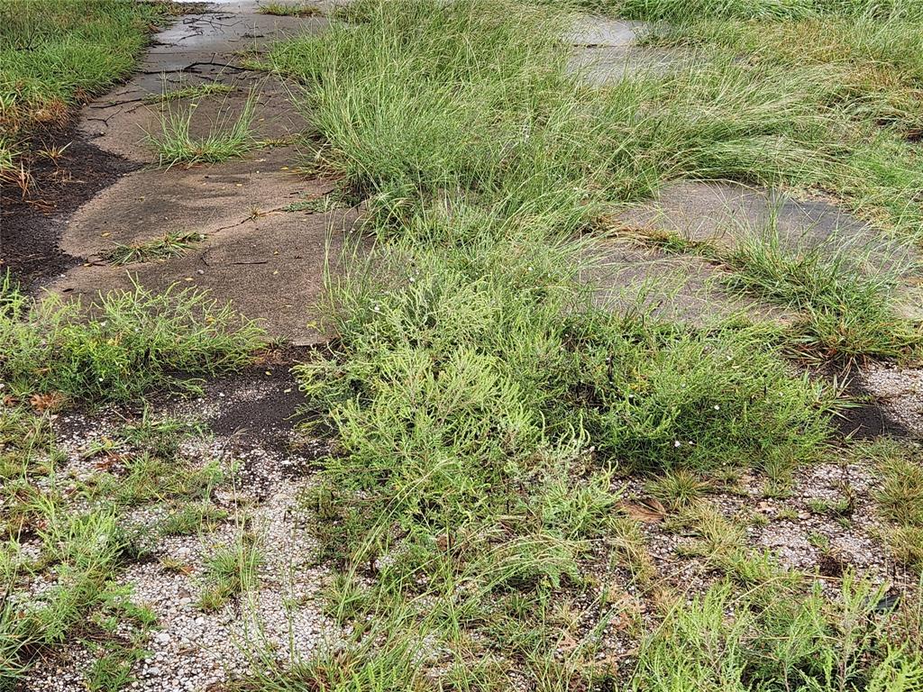 1513 S Fm 1138 Property Photo 10