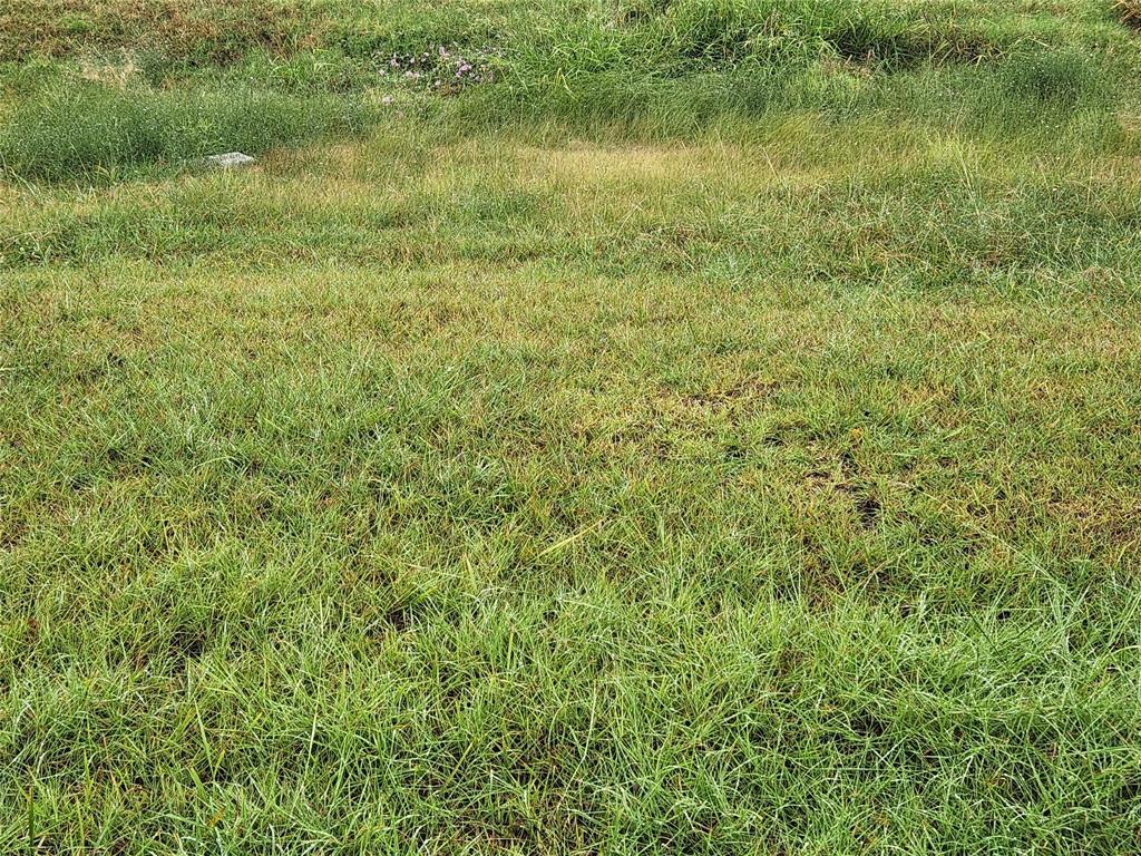 1513 S Fm 1138 Property Photo 12